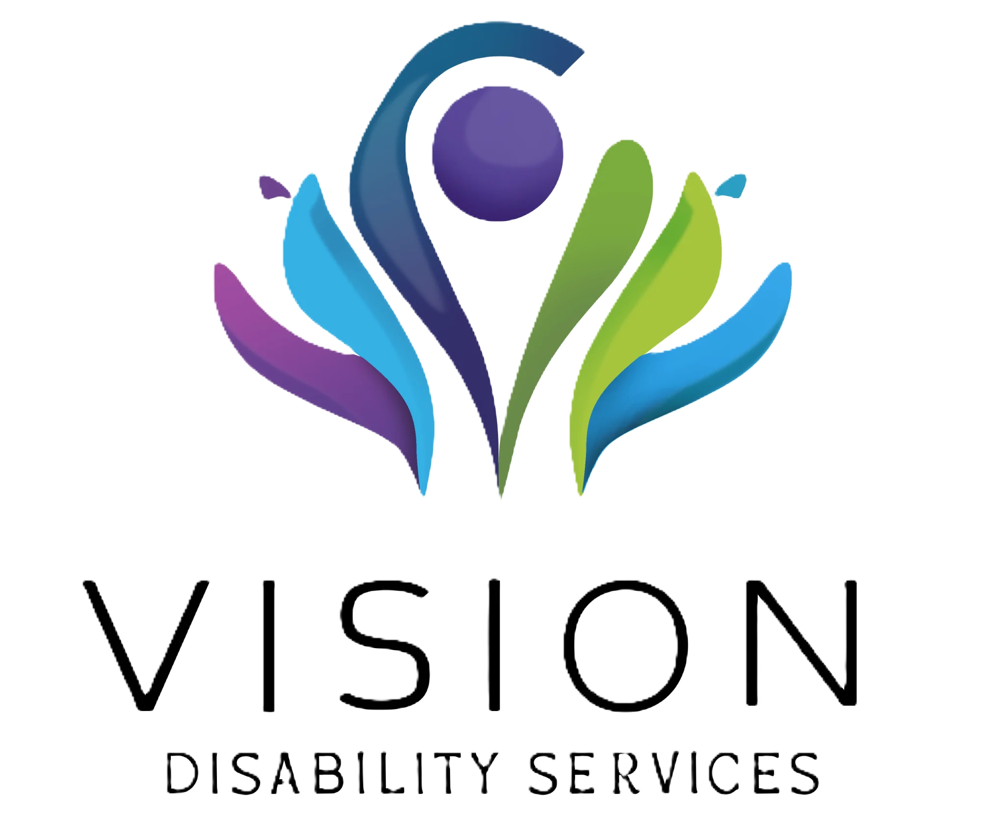 Vision Disability Services